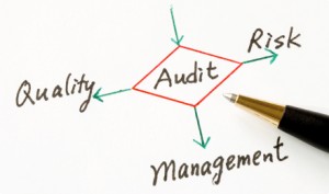company audit