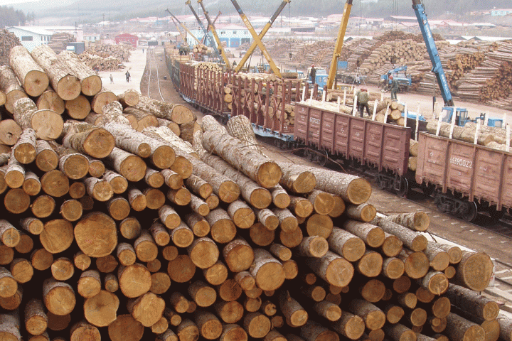 lumber china canada