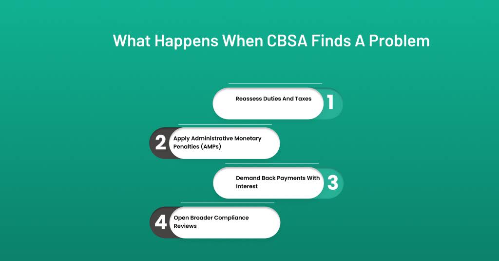 Infographic showing the steps CBSA may take when a compliance issue is found, including reassessing duties, applying penalties, and opening broader reviews.