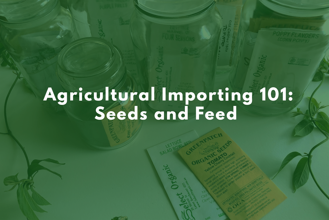 Agricultural Importing 101 Importing Seeds and Feed